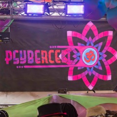 Psybercell@MauiWaui2025