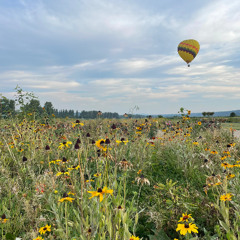 Back to Black by Amy Winehouse (Cover)