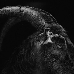 Gostwork - Satanic