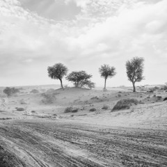 Desert Road
