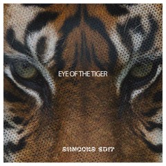 Eye Of The Tiger (shnooks Edit)