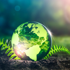 Se hai paura di vivere