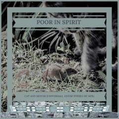 Poor In Spirit - Cat And Mouse (UniversAll Axiom Stereo Re Mix)