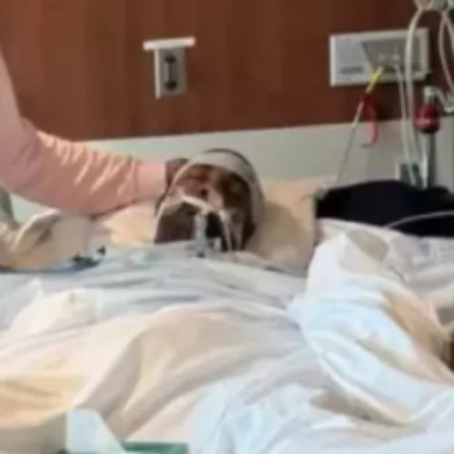 Michael Willis Heard A Chillwave Edit Inspired by the Yes King Vibe