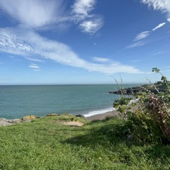 A bhláithín: voice recording