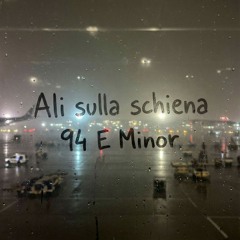 Ali sulla schiena - 94 E Minor