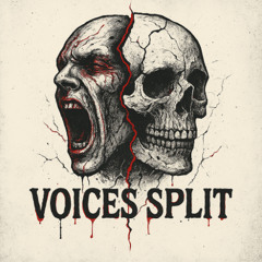 VOICES SPLIT