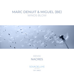 Marc Denuit, Miguel (BE) - Winds Blow (Original Blow Mix)