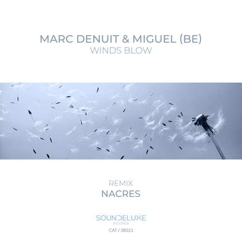 Marc Denuit, Miguel (BE) - Winds Blow (Nacres Remix)