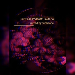 SuitCase Rec Podcast TechFace: "Folder 4" a Drum & Bass  Techstep mix
