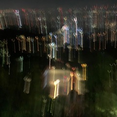 回花 - TheLinS / HengJones