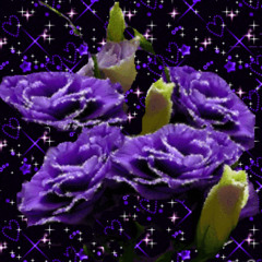 40 tucc.wav #vs2k25 {{SKORM}}