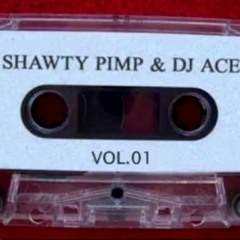 Shawty Pimp & DJ Ace - Heavy Ass Niggas
