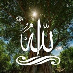 ابتهال سبحت لله في العش الطيور - الشيخ نصر الدين طوبار