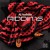 Artwork for PaloRoto - Serneta Riddim