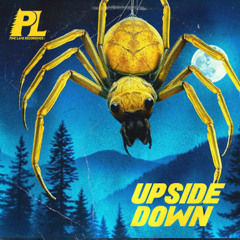 KING KOZZ - UPSIDE DOWN