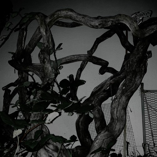 lap23 [Prod. sorrow bringer]