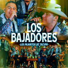 Los Bajadores
