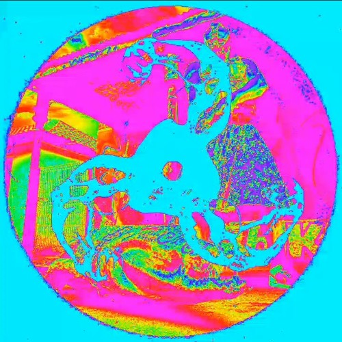 THE TEKNOIST - BICEP HARDCORE MIXTAPE 228