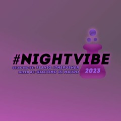 #NightVibe Top 30 2023 [Vinyl Set]