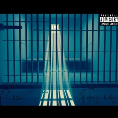 Pica$$oo - Felony Baby