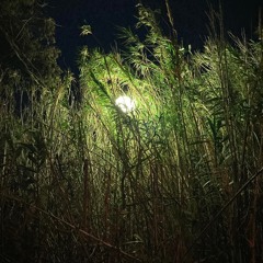 Fails in Lust 008 w/ Eva Anerrapsi (23.07.24)