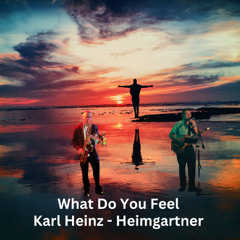 What Do You Feel