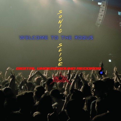 [Premiere] Sonic Slice - Welcome To The ROBUS