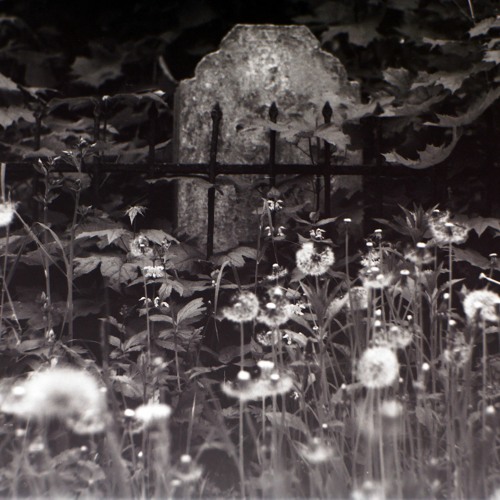 starry eyes ft. levi ryan (gl0)