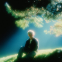 Getting Used To Life