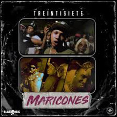 Treintisiete 3730 - MARICONES