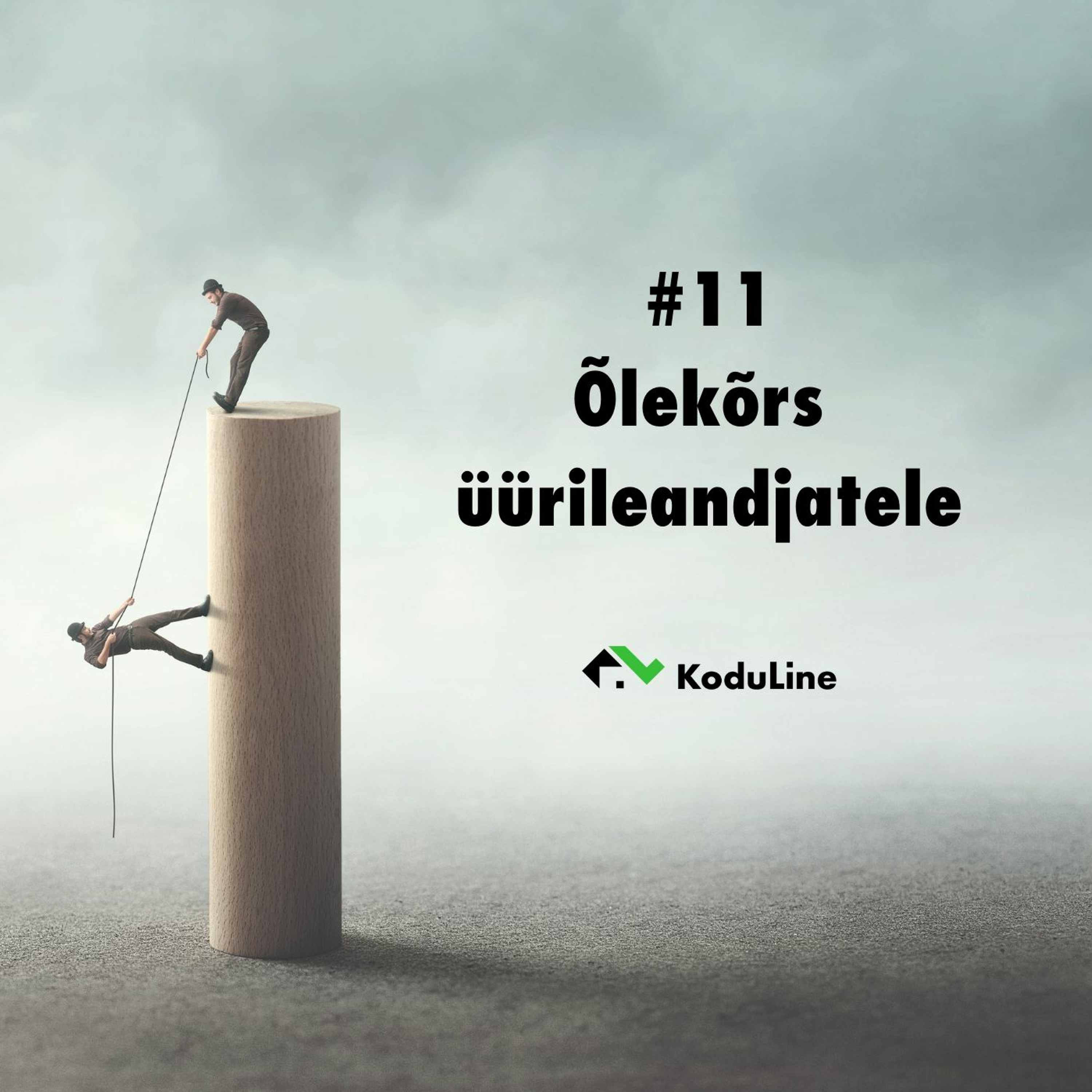 #11 Õlekõrs üürileandjatele