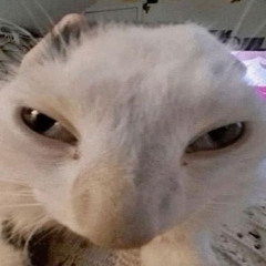 right here right now