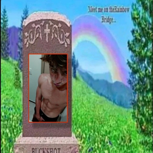 Stream Bad Bunny Efecto Tech House Remix By Matt Schott Listen