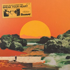 Raphael DeLove & Summer Vibes - Break Your Heart