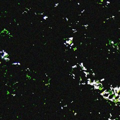 Hypnagogia (disquiet0503)
