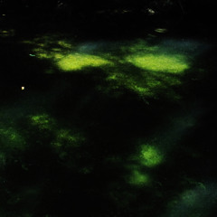 Sombre histoire pour un Cymbalom