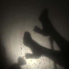 No Exceptions - Demo