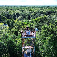 "I believe in science" Live at Tulum, Mexico