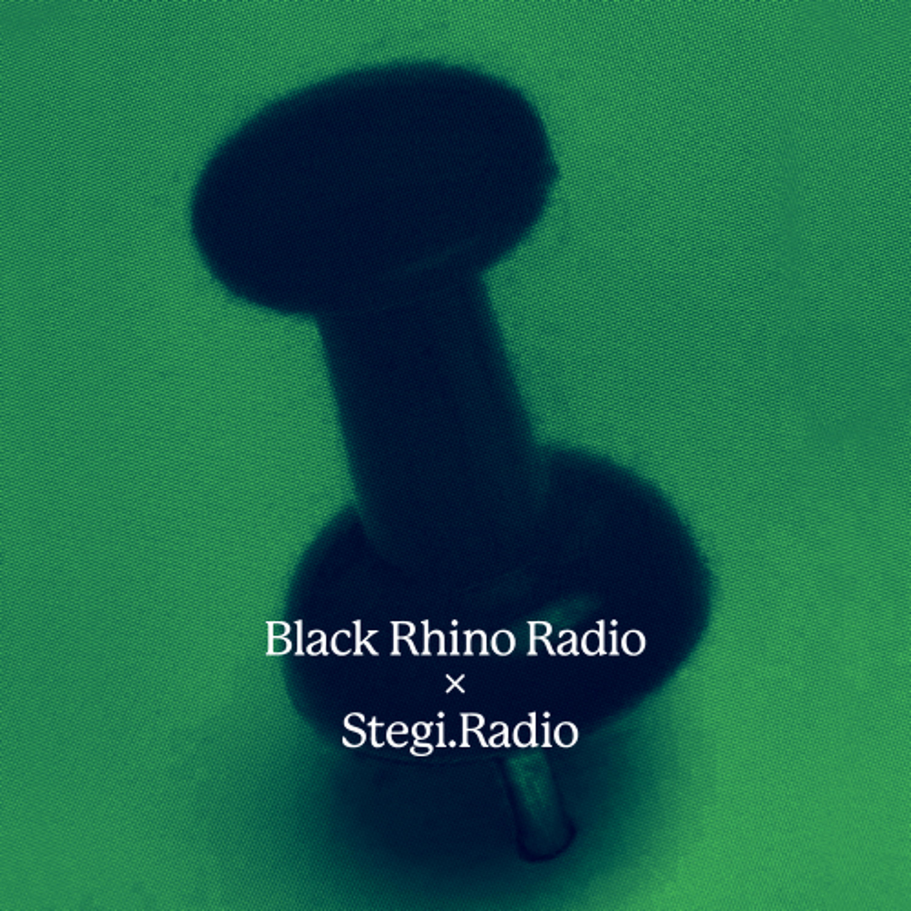 Black Rhino x Stegi: Radio Exchange w/ io (24.05.2026) episode artwork