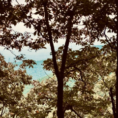 PERPLEXED (Prod. sunsetzer0)