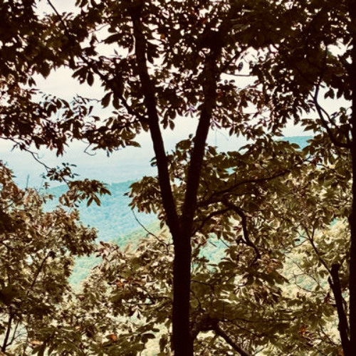 PERPLEXED (Prod. sunsetzer0)