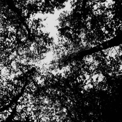 Daan Jacob - Herfst House mix 2023