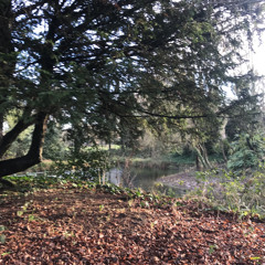 Daft Love Song (Demo)