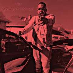 Polo G GNF (okokok ) - DaTopDawg freestyle