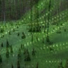 Cyber Swamps