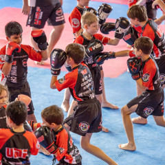 MMA Training in Sector 34, Noida – Build Skills & Strength