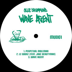 Wave Agent (Original Mix)