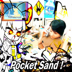 pocket sand w/ rogie (prod. asecoamy)