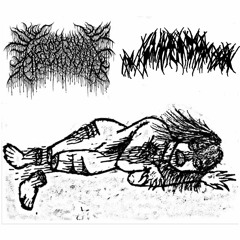 Bovine Fecal Matter / Abscess Pool Split